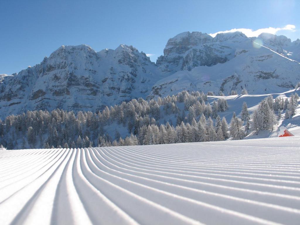 Chalet Fiocco Di Neve Pinzolo Exterior photo